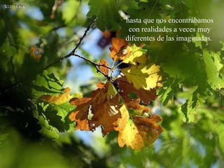 hasta que nos encontrábamos con realidades a veces muy diferentes de las imaginadas.  