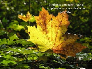 Sentíamos entonces llegar el crepúsculo para una idea, o un proyecto,  