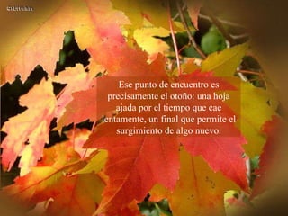 Ese punto de encuentro es precisamente el otoño: una hoja ajada por el tiempo que cae lentamente, un final que permite el surgimiento de algo nuevo. 
