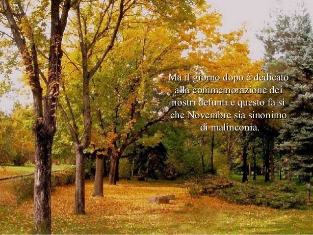 Buon mese di novembre a
