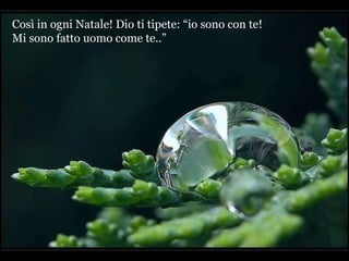 Così in ogni Natale! Dio ti tipete: “io sono con te!  Mi sono fatto uomo come te..” 
