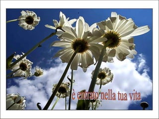 . è entrato nella tua vita 