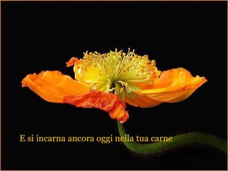 E si incarna ancora oggi nella tua carne 