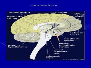 VIAS DOPAMINÉRGICAS 