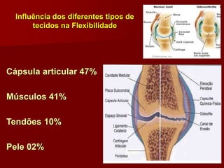 Influência dos diferentes tipos de
tecidos na Flexibilidade
Cápsula articular 47%
Músculos 41%
Tendões 10%
Pele 02%
 