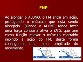 FNP
Ao alongar o ALUNO, o FM entra em ação,
protegendo o músculo que está sendo
alongado. Quando o ALUNO tende fazer
uma força contrária ativa o OTG, que tem
como função relaxar o músculo contraído
inibindo a ação do FM, desta forma
consegue-se uma maior amplitude do
movimento.
 