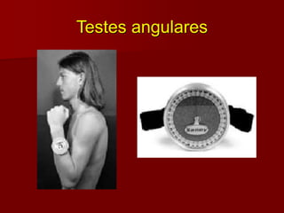 Testes angulares
 
