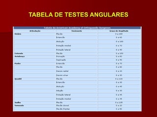 TABELA DE TESTES ANGULARES
 