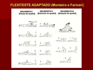 FLEXITESTE ADAPTADO (Monteiro e Farinari)
 