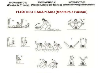FLEXITESTE ADAPTADO (Monteiro e Farinari)
 