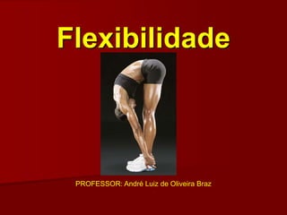 Flexibilidade
PROFESSOR: André Luiz de Oliveira Braz
 