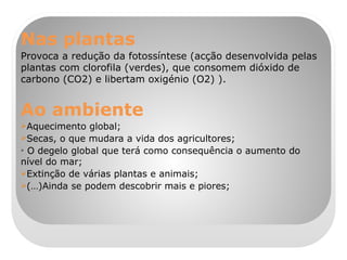 Nas plantas Provoca a redução da fotossíntese (acção desenvolvida pelas plantas com clorofila (verdes), que consomem dióxido de carbono (CO2) e libertam oxigénio ( O2) ). Ao ambiente Aquecimento global; Secas, o que mudara a vida dos agricultores; O degelo global que terá como consequência o aumento do nível do mar; Extinção de várias plantas e animais; (…)Ainda se podem descobrir mais e piores; 