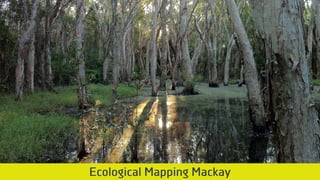 Burchills Engineering Solutions Project Portfolio