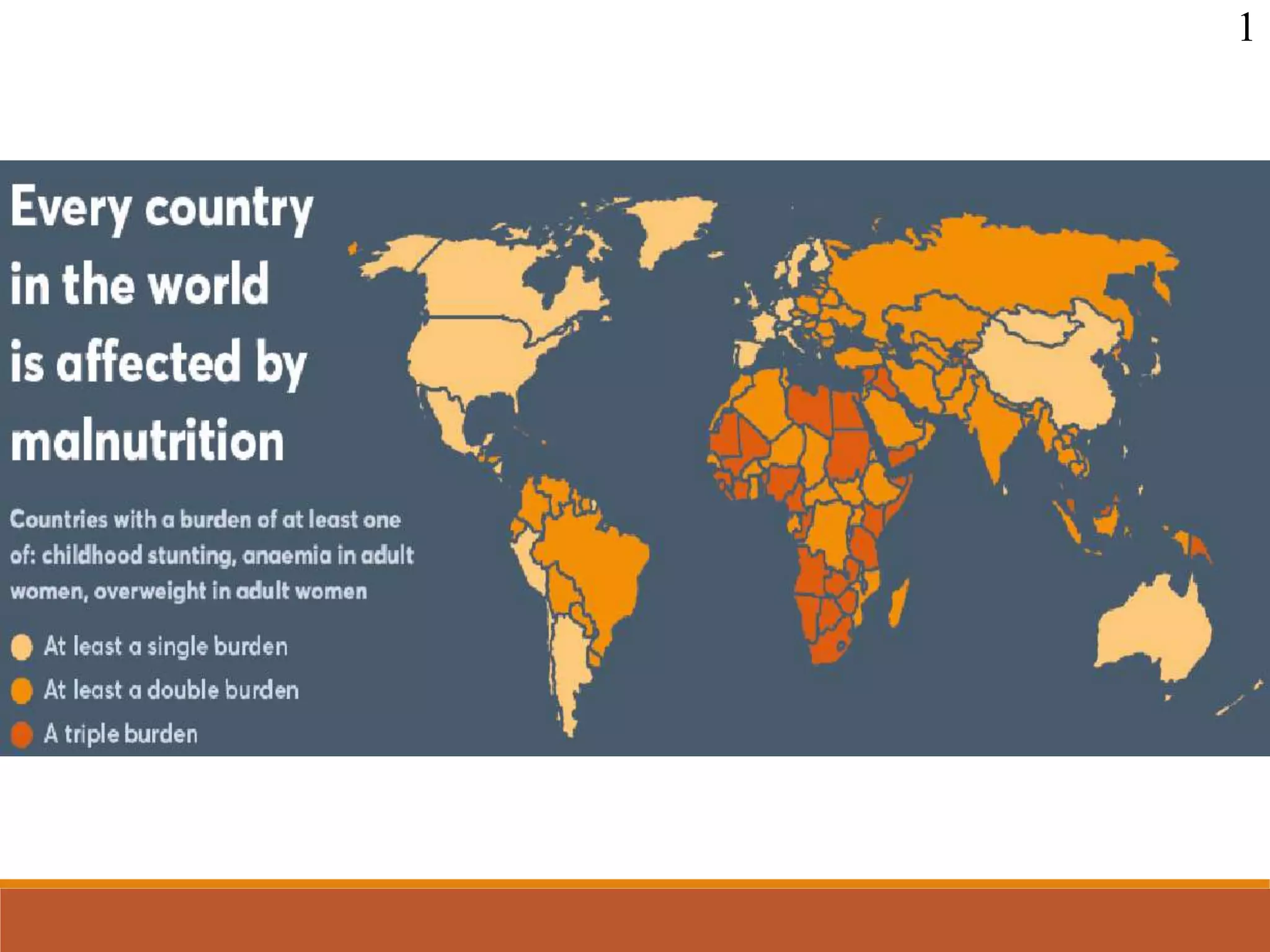 Burden and ecology of malnutrition PPT