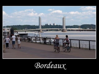 Bordeaux
 