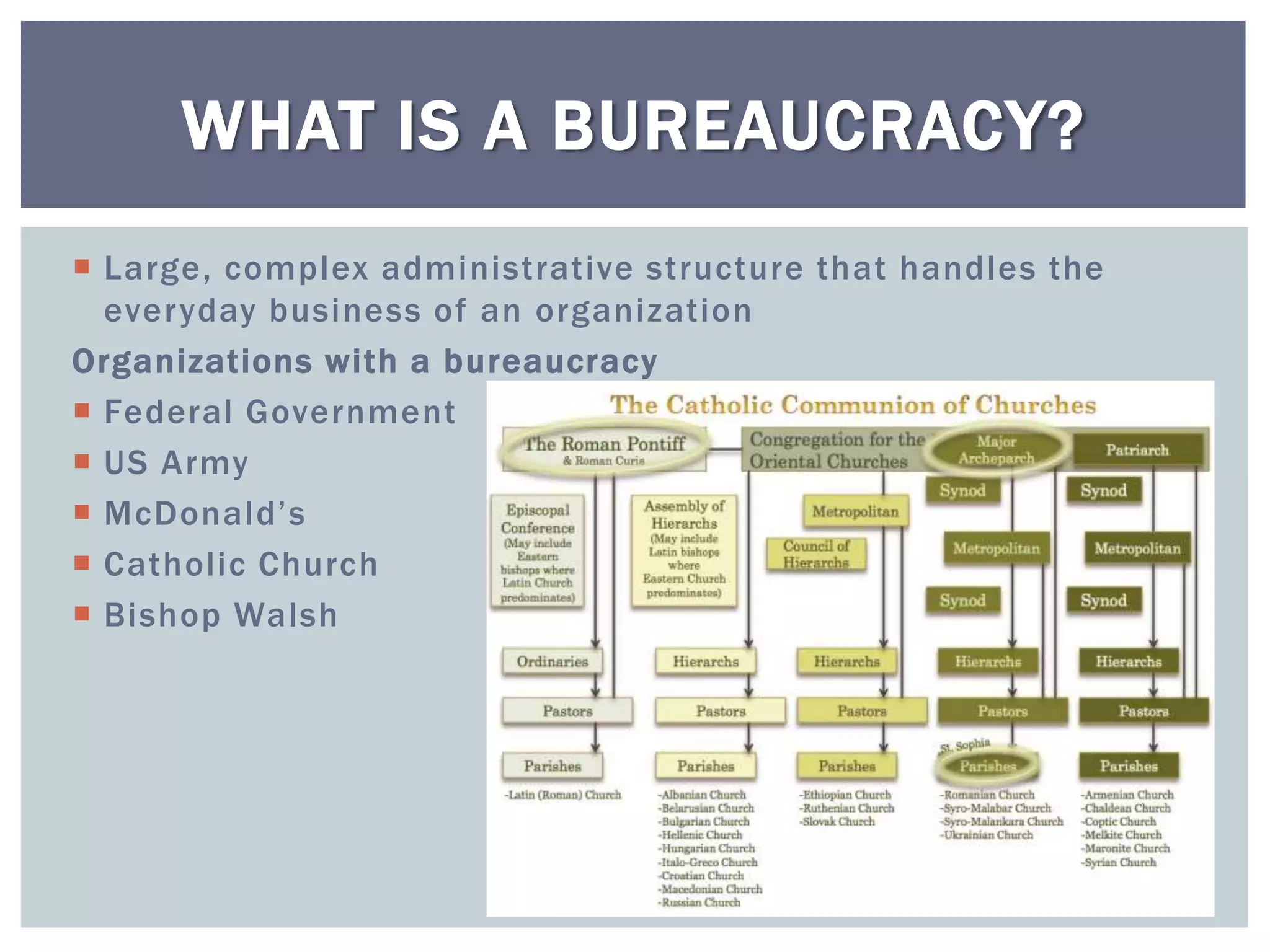 Bureaucracy - government at work | PPTX