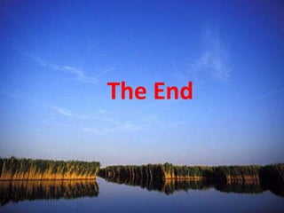 The End