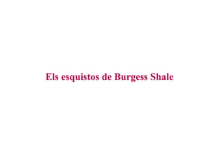 Els esquistos de Burgess Shale 