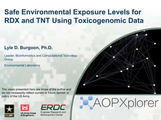 Safe Environmental Exposure Levels for
RDX and TNT Using Toxicogenomic Data
Lyle D. Burgoon, Ph.D.
Leader, Bioinformatics and Computational Toxicology
Group
Environmental Laboratory
The views presented here are those of the author and
do not necessarily reflect current or future opinion or
policy of the US Army.
 