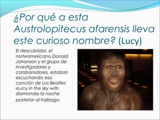 ¿Por qué a esta
Austrolopitecus afarensis lleva
este curioso nombre? (Lucy)
El descubridor, el
norteamericano Donald
Johanson y el grupo de
investigadores y
colaboradores, estaban
escuchando esa
canción de Los Beatles
«Lucy in the sky with
diamonds» la noche
posterior al hallazgo.
 