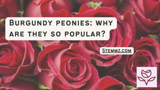 Burgundy peonies: why
are they so popular?
Stemmz.com
 