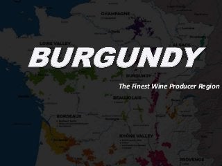 The Finest Wine Producer Region
 