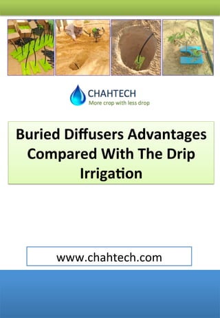!
www.chahtech.com	
  
Buried	
  Diﬀusers	
  Advantages	
  
Compared	
  With	
  The	
  Drip	
  
Irriga9on	
  
 