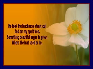 He took the blackness of my soul And set my spirit free. Something beautiful began to grow. Where the hurt used to be. 