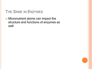 The Same in EnzymesMicronutrient atoms can impact the structure and functions of enzymes as well