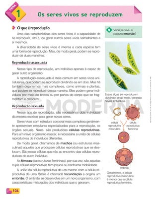 Reproduçãoproibida.Art.184doCódigoPenaleLei9.610de19defevereirode1998.
104
1 Os seres vivos se reproduzem
O que é reprodução
Uma das características dos seres vivos é a capacidade de
se reproduzir, isto é, de gerar outros seres vivos semelhantes a
si mesmos.
A diversidade de seres vivos é imensa e cada espécie tem
uma forma de reprodução. Mas, de modo geral, podem se repro-
duzir de duas maneiras.
Reprodução assexuada
Nesse tipo de reprodução, um indivíduo apenas é capaz de
gerar outro organismo.
A reprodução assexuada é mais comum em seres vivos uni-
celulares, que podem se reproduzir dividindo-se em dois. Mas há
também organismos mais complexos, como animais e plantas,
que podem se reproduzir dessa maneira. Eles podem gerar indi-
víduos por meio de brotos ou por partes do corpo que se frag-
mentam e crescem.
Reprodução sexuada
Nesse tipo de reprodução, são necessários dois indivíduos
da mesma espécie para gerar novos seres.
Seres vivos com estrutura corporal mais complexa geralmen-
te apresentam estruturas especializadas para a reprodução, os
órgãos sexuais. Neles, são produzidas células reprodutivas.
Para um novo organismo nascer, é necessária a união de células
reprodutivas de indivíduos diferentes.
De modo geral, chamamos de machos (ou estruturas mas-
culinas) aqueles que produzem células reprodutivas que se des-
locam. São essas células que vão ao encontro das células repro-
dutivas do outro indivíduo.
As fêmeas (ou estruturas femininas), por sua vez, são aquelas
cujas células reprodutivas têm pouca ou nenhuma mobilidade.
A união da célula reprodutiva de um macho com a célula re-
produtiva de uma fêmea é chamada fecundação e origina um
embrião. O embrião se desenvolve em um novo organismo, com
características misturadas dos indivíduos que o geraram.
Essas algas se reproduzem
dividindo-se ao meio, gerando
novos indivíduos.
Geralmente, a célula
reprodutiva masculina
é menor que a célula
reprodutiva feminina.
Você já ouviu a
palavra embrião?
célula
reprodutiva
masculina
célula
reprodutiva
feminina
embrião
PDF_100-113-U7-BUCIE5-M.indd 104 10/30/13 3:19 PM
 