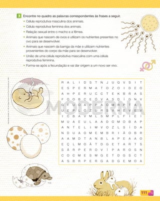 Reproduçãoproibida.Art.184doCódigoPenaleLei9.610de19defevereirode1998.
111
3 Encontre no quadro as palavras correspondentes às frases a seguir.
• Célula reprodutiva masculina dos animais.
• Célula reprodutiva feminina dos animais.
• Relação sexual entre o macho e a fêmea.
• Animais que nascem de ovos e utilizam os nutrientes presentes no
ovo para se desenvolver.
• Animais que nascem da barriga da mãe e utilizam nutrientes
provenientes do corpo da mãe para se desenvolver.
• União de uma célula reprodutiva masculina com uma célula
reprodutiva feminina.
• Forma-se após a fecundação e vai dar origem a um novo ser vivo.
R A L I D S T N J U Q V S I T
E S P E R M A T O Z O I D E O
A H P E R U C C T E K B R A S
F O O B C E Ó V A S D Í G N V
G F U O A P P A O M R P T A I
U E P L Ó Z U R S V H E V E V
I C B A V M L S M P L F I E Í
M U A E U L A A D O M O B A P
A N T E L I M V O Z L S Í D A
N D U A O M E M B R I Ã O B R
A A M D T A N B L A P E A A O
E Ç L M O Ã T D G E T A R T S
S Ã R P E R O V Í P A R O S N
C O C M E S M G E T D G S C T
A S B R P E R G A D G E M O A
PDF_100-113-U7-BUCIE5-M.indd 111 10/30/13 3:23 PM
 