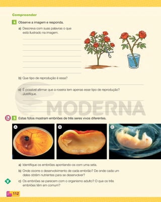 112
Compreender
4 Observe a imagem e responda.
a) Descreva com suas palavras o que
está ilustrado na imagem.
b) Que tipo de reprodução é essa?
c) É possível aﬁrmar que a roseira tem apenas esse tipo de reprodução?
Justiﬁque.
5 Estas fotos mostram embriões de três seres vivos diferentes.
a) Identiﬁque os embriões apontando-os com uma seta.
b) Onde ocorre o desenvolvimento de cada embrião? De onde cada um
deles obtém nutrientes para se desenvolver?
c) Os embriões se parecem com o organismo adulto? O que os três
embriões têm em comum?
A B C
PDF_100-113-U7-BUCIE5-M.indd 112 10/30/13 3:24 PM
 