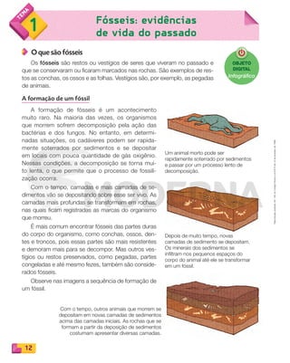 Reproduçãoproibida.Art.184doCódigoPenaleLei9.610de19defevereirode1998.
12
Fósseis: evidências
de vida do passado1
O que são fósseis
Os fósseis são restos ou vestígios de seres que viveram no passado e
que se conservaram ou ficaram marcados nas rochas. São exemplos de res-
tos as conchas, os ossos e as folhas. Vestígios são, por exemplo, as pegadas
de animais.
A formação de um fóssil
A formação de fósseis é um acontecimento
muito raro. Na maioria das vezes, os organismos
que morrem sofrem decomposição pela ação das
bactérias e dos fungos. No entanto, em determi-
nadas situações, os cadáveres podem ser rapida-
mente soterrados por sedimentos e se depositar
em locais com pouca quantidade de gás oxigênio.
Nessas condições, a decomposição se torna mui-
to lenta, o que permite que o processo de fossili-
zação ocorra.
Com o tempo, camadas e mais camadas de se-
dimentos vão se depositando sobre esse ser vivo. As
camadas mais profundas se transformam em rochas,
nas quais ficam registradas as marcas do organismo
que morreu.
É mais comum encontrar fósseis das partes duras
do corpo do organismo, como conchas, ossos, den-
tes e troncos, pois essas partes são mais resistentes
e demoram mais para se decompor. Mas outros ves-
tígios ou restos preservados, como pegadas, partes
congeladas e até mesmo fezes, também são conside-
rados fósseis.
Observe nas imagens a sequência de formação de
um fóssil.
Depois de muito tempo, novas
camadas de sedimento se depositam.
Os minerais dos sedimentos se
infiltram nos pequenos espaços do
corpo do animal até ele se transformar
em um fóssil.
Com o tempo, outros animais que morrem se
depositam em novas camadas de sedimentos
acima das camadas iniciais. As rochas que se
formam a partir da deposição de sedimentos
costumam apresentar diversas camadas.
Um animal morto pode ser
rapidamente soterrado por sedimentos
e passar por um processo lento de
decomposição.
OBJETO
DIGITAL
Infográﬁco
PDF_008-021-U1-BUCIE5-M.indd 12 11/4/13 11:45 AM
 