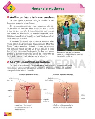 Reproduçãoproibida.Art.184doCódigoPenaleLei9.610de19defevereirode1998.
120
Homens e mulheres2
As diferenças físicas entre homens e mulheres
De modo geral, é possível distinguir homens de mu-
lheres por suas diferenças físicas.
Os homens costumam ser mais musculosos e ter bar-
ba, enquanto as mulheres têm formas mais arredondadas
e mamas, por exemplo. É na adolescência que o corpo
dos jovens se diferencia e os meninos adquirem carac-
terísticas masculinas, enquanto as meninas desenvolvem
características femininas.
A diferença física mais marcante entre mulheres e ho-
mens, porém, é a presença de órgãos sexuais diferentes.
Esses órgãos permitem distinguir meninos de meninas
nos primeiros meses de vida. Os órgãos sexuais já estão
formados no terceiro mês de gestação. Por isso, nesse
período já é possível identificar o sexo do bebê dentro da
barriga da mãe, por meio do exame de ultrassom.
Os órgãos sexuais femininos e masculinos
Os órgãos sexuais compõem o sistema genital e são responsáveis pela
reprodução. Os esquemas a seguir ilustram os órgãos que compõem os siste-
mas genitais feminino e masculino.
Mulheres e homens podem ser
reconhecidos por algumas de suas
características físicas.
A vagina e o útero estão
representados em corte.
Cores-fantasia.
O pênis está representado
em corte. Cores-fantasia.
pudendo
feminino
tubas
uterinas
ductos
deferentes
testículos
úteroovários
vagina
pênis
uretra
Sistema genital feminino Sistema genital masculino
PDF_114-131-U8-BUCIE5-M.indd 120 11/1/13 11:24 AM
 