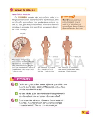 Reproduçãoproibida.Art.184doCódigoPenaleLei9.610de19defevereirode1998.
121
Álbum de Ciências
ATIVIDADES
Hormônios sexuais
Os hormônios sexuais são responsáveis pelas mu-
danças corporais que ocorrem durante a puberdade. Eles
também são responsáveis pela regulação do sistema ge-
nital, ou seja, pela função reprodutiva. O sistema nervoso
coordena a produção dos hormônios sexuais em diferen-
tes locais do corpo.
Hormônios: substâncias
produzidas pelo próprio
organismo que atuam na
regulação de alguns órgãos e
algumas funções do corpo.
Glossário
A hipófise é uma glândula
localizada no encéfalo. Durante
a puberdade, ela começa a
produzir hormônios que agem
no corpo de meninas e meninos.
Esquema em corte do encéfalo.
Cores-fantasia.
Nas meninas, os ovários
produzem hormônios
sexuais. Cores-fantasia.
Nos meninos, os hormônios
sexuais são produzidos pelos
testículos. Cores-fantasia.
testículosovários
hipófise
1 Cecília está grávida de 4 meses e já sabe que vai ter uma
menina. Como isso é possível? Que característica física
permite essa identificação?
2 Na fase adulta, quais características físicas geralmente
permitem diferenciar um homem de uma mulher?
3 Em sua opinião, além das diferenças físicas e sexuais,
meninos e meninas também apresentam diferenças
comportamentais? Discuta com seus colegas.
PDF_114-131-U8-BUCIE5-M.indd 121 11/1/13 11:24 AM
 