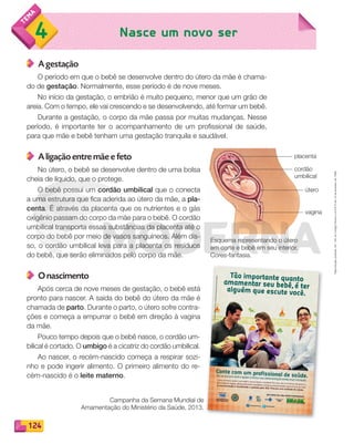 Reproduçãoproibida.Art.184doCódigoPenaleLei9.610de19defevereirode1998.
124
Nasce um novo ser4
A gestação
O período em que o bebê se desenvolve dentro do útero da mãe é chama-
do de gestação. Normalmente, esse período é de nove meses.
No início da gestação, o embrião é muito pequeno, menor que um grão de
areia. Com o tempo, ele vai crescendo e se desenvolvendo, até formar um bebê.
Durante a gestação, o corpo da mãe passa por muitas mudanças. Nesse
período, é importante ter o acompanhamento de um profissional de saúde,
para que mãe e bebê tenham uma gestação tranquila e saudável.
A ligação entre mãe e feto
No útero, o bebê se desenvolve dentro de uma bolsa
cheia de líquido, que o protege.
O bebê possui um cordão umbilical que o conecta
a uma estrutura que fica aderida ao útero da mãe, a pla-
centa. É através da placenta que os nutrientes e o gás
oxigênio passam do corpo da mãe para o bebê. O cordão
umbilical transporta essas substâncias da placenta até o
corpo do bebê por meio de vasos sanguíneos. Além dis-
so, o cordão umbilical leva para a placenta os resíduos
do bebê, que serão eliminados pelo corpo da mãe.
O nascimento
Após cerca de nove meses de gestação, o bebê está
pronto para nascer. A saída do bebê do útero da mãe é
chamada de parto. Durante o parto, o útero sofre contra-
ções e começa a empurrar o bebê em direção à vagina
da mãe.
Pouco tempo depois que o bebê nasce, o cordão um-
bilical é cortado. O umbigo é a cicatriz do cordão umbilical.
Ao nascer, o recém-nascido começa a respirar sozi-
nho e pode ingerir alimento. O primeiro alimento do re-
cém-nascido é o leite materno.
Esquema representando o útero
em corte e bebê em seu interior.
Cores-fantasia.
placenta
cordão
umbilical
útero
vagina
Campanha da Semana Mundial de
Amamentação do Ministério da Saúde, 2013.
PDF_114-131-U8-BUCIE5-M.indd 124 11/1/13 11:25 AM
 