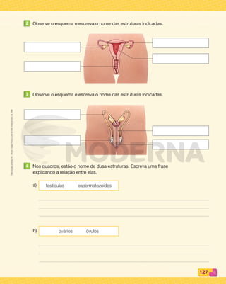Reproduçãoproibida.Art.184doCódigoPenaleLei9.610de19defevereirode1998.
127
2 Observe o esquema e escreva o nome das estruturas indicadas.
3 Observe o esquema e escreva o nome das estruturas indicadas.
4 Nos quadros, estão o nome de duas estruturas. Escreva uma frase
explicando a relação entre elas.
a) testículos espermatozoides
b) ovários óvulos
PDF_114-131-U8-BUCIE5-M.indd 127 11/1/13 11:27 AM
 