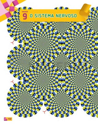 132
9 O SISTEMA NERVOSO
UNIDADE
PDF_132-145-U9-BUCIE5-M.indd 132 11/1/13 12:55 PM
 