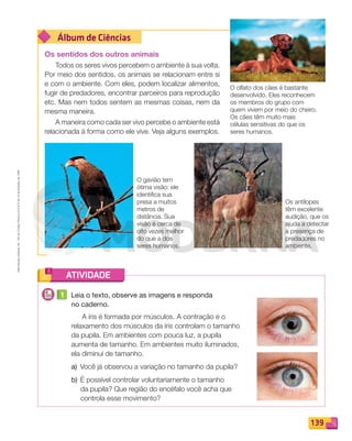 Reproduçãoproibida.Art.184doCódigoPenaleLei9.610de19defevereirode1998.
139
Álbum de Ciências
ATIVIDADE
Os sentidos dos outros animais
Todos os seres vivos percebem o ambiente à sua volta.
Por meio dos sentidos, os animais se relacionam entre si
e com o ambiente. Com eles, podem localizar alimentos,
fugir de predadores, encontrar parceiros para reprodução
etc. Mas nem todos sentem as mesmas coisas, nem da
mesma maneira.
A maneira como cada ser vivo percebe o ambiente está
relacionada à forma como ele vive. Veja alguns exemplos.
1 Leia o texto, observe as imagens e responda
no caderno.
A íris é formada por músculos. A contração e o
relaxamento dos músculos da íris controlam o tamanho
da pupila. Em ambientes com pouca luz, a pupila
aumenta de tamanho. Em ambientes muito iluminados,
ela diminui de tamanho.
a) Você já observou a variação no tamanho da pupila?
b) É possível controlar voluntariamente o tamanho
da pupila? Que região do encéfalo você acha que
controla esse movimento?
O gavião tem
ótima visão: ele
identifica sua
presa a muitos
metros de
distância. Sua
visão é cerca de
oito vezes melhor
do que a dos
seres humanos.
O olfato dos cães é bastante
desenvolvido. Eles reconhecem
os membros do grupo com
quem vivem por meio do cheiro.
Os cães têm muito mais
células sensitivas do que os
seres humanos.
Os antílopes
têm excelente
audição, que os
ajuda a detectar
a presença de
predadores no
ambiente.
PDF_132-145-U9-BUCIE5-M.indd 139 11/1/13 12:57 PM
 