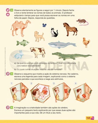 Reproduçãoproibida.Art.184doCódigoPenaleLei9.610de19defevereirode1998.
143
4 Observe atentamente as figuras a seguir por 1 minuto. Depois feche
o livro e tente lembrar os nomes de todos os animais. O professor
estipulará o tempo para que você possa escrever os nomes em uma
folha de papel. Depois, responda às questões.
a) De quantos animais você conseguiu se lembrar? Qual foi a diﬁculdade
para realizar essa atividade?
b) Em quais outras situações você faz uso da memória?
5 Observe o esquema que mostra a ação do sistema nervoso. No caderno,
escreva uma legenda para cada imagem, explicando como o sistema
nervoso percebe o que acontece e reage aos estímulos.
6 A imaginação e a criatividade também são ações do cérebro.
Escreva um pequeno texto explicando por que essas duas ações são
importantes para a sua vida. Dê um título a seu texto.
1 2 3 4
PDF_132-145-U9-BUCIE5-M.indd 143 11/1/13 12:58 PM
 