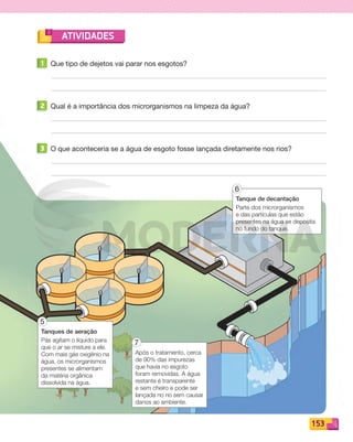 153
ATIVIDADES
Tanques de aeração
Pás agitam o líquido para
que o ar se misture a ele.
Com mais gás oxigênio na
água, os microrganismos
presentes se alimentam
da matéria orgânica
dissolvida na água.
Após o tratamento, cerca
de 90% das impurezas
que havia no esgoto
foram removidas. A água
restante é transparente
e sem cheiro e pode ser
lançada no rio sem causar
danos ao ambiente.
Tanque de decantação
Parte dos microrganismos
e das partículas que estão
presentes na água se deposita
no fundo do tanque.
5
7
6
1 Que tipo de dejetos vai parar nos esgotos?
2 Qual é a importância dos microrganismos na limpeza da água?
3 O que aconteceria se a água de esgoto fosse lançada diretamente nos rios?
PDF_146-175-SA-BUCIE5-M.indd 153 11/1/13 4:20 PM
 