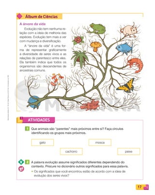 Reproduçãoproibida.Art.184doCódigoPenaleLei9.610de19defevereirode1998.
17
Álbum de Ciências
ATIVIDADES
A árvore da vida
Evolução não tem nenhuma re-
lação com a ideia de melhoria das
espécies. Evolução tem mais a ver
com mudança e diversificação.
A “árvore da vida” é uma for-
ma de representar graficamente
a diversidade de seres vivos e as
relações de parentesco entre eles.
Ela também indica que todos os
organismos são descendentes de
ancestrais comuns.
1 Que animais são “parentes” mais próximos entre si? Faça círculos
identificando os grupos mais próximos.
2 A palavra evolução assume significados diferentes dependendo do
contexto. Procure no dicionário outros significados para essa palavra.
• Os signiﬁcados que você encontrou estão de acordo com a ideia de
evolução dos seres vivos?
gato
cachorro
mosca
peixe
PDF_008-021-U1-BUCIE5-M.indd 17 10/30/13 6:35 PM
 