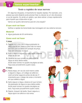 Reproduçãoproibida.Art.184doCódigoPenaleLei9.610de19defevereirode1998.
174
UNIDADE
Vamos experimentar9
Teste a rapidez de seus nervos
Em algumas situações, é importante ter reações rápidas. Por exemplo, uma
pessoa que está dirigindo pode precisar frear ou desviar se um cão atravessar
a rua de repente. Ou ainda um goleiro, que deve esticar o braço rapidamente
para impedir que a bola entre no gol.
Vamos ver quanto demoramos para ter uma reação?
O que você vai fazer
Veriﬁcar a rapidez da transmissão das mensagens em seu sistema nervoso.
Material
• régua graduada de 30 centímetros
Como você vai fazer
1a
etapa
1. Segure com uma mão a régua graduada na
marca de 30 cm. Deixe a outra mão na marca
de 0 cm com os dedos em posição de pinça,
mas sem encostar na régua.
2. Solte a régua e segure-a o mais rápido possível,
antes de ela cair.
3. Observe em que número da graduação da
régua os seus dedos estão.
Anote esse número no quadro da página ao lado.
Faça esse procedimento quatro vezes.
2a
etapa
1. Nesta etapa, em vez de você mesmo soltar
e segurar a régua, um colega vai soltá-la e
você vai tentar segurá-la antes de ela cair. É
importante que o colega não avise o momento
em que soltará a régua.
2. Após segurar a régua, observe em que número
da graduação da régua os seus dedos estão.
Anote esse número no quadro da página ao
lado. Faça esse procedimento quatro vezes.
3. Depois, troquem de tarefa. Quem segurou a
régua agora vai soltá-la e vice-versa.
30 cm
0 cm
PDF_146-175-SA-BUCIE5-M.indd 174 11/1/13 4:28 PM
 
