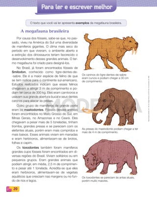Reproduçãoproibida.Art.184doCódigoPenaleLei9.610de19defevereirode1998.
20
Para ler e escrever melhor
O texto que você vai ler apresenta exemplos da megafauna brasileira.
A megafauna brasileira
Por causa dos fósseis, sabe-se que, no pas-
sado, viveu na América do Sul uma diversidade
de mamíferos gigantes. O clima mais seco do
período em que viveram, o ambiente aberto e
a extinção dos dinossauros teriam favorecido o
desenvolvimento desses grandes animais. O ter-
mo megafauna foi criado para designá-los.
No Brasil, já foram encontrados fósseis de
Smilodon, conhecido como tigre-dentes-de-
-sabre. Ele é a maior espécie de felino de que
se tem notícia para o continente sul-americano.
Estudos realizados indicam que esses felinos
chegavam a atingir 3 m de comprimento e po-
diam ter cerca de 300 kg. Eles eram carnívoros e
usavam sua grande abertura bucal e seus dentes
caninos para atacar as presas.
Outro grupo de mamíferos de grande porte
eram os mastodontes. Fósseis desses animais
foram encontrados no Mato Grosso do Sul, em
Minas Gerais, no Amazonas e no Ceará. Eles
chegavam a pesar mais de 5 toneladas, tinham
tromba, grandes presas e se pareciam com os
elefantes atuais, porém eram mais compridos e
mais baixos. Esses animais viviam em manadas
e eram herbívoros, alimentavam-se de brotos,
folhas e capim.
Os toxodontes também foram mamíferos
grandes cujos fósseis foram encontrados em di-
versas regiões do Brasil. Viviam solitários ou em
pequenos grupos. Eram grandes animais que
podiam atingir, em média, 2,5 m de comprimen-
to e pesar até 1 tonelada. Acredita-se que eles
eram herbívoros, alimentavam-se de vegetais
aquáticos que cresciam nas margens ou no fun-
do de rios e lagos.
Os caninos do tigre-dentes-de-sabre
eram curvos e podiam chegar a 30 cm
de comprimento.
As presas do mastodonte podiam chegar a ter
mais de 4 m de comprimento.
Os toxodontes se pareciam às antas atuais,
porém muito maiores.
PDF_008-021-U1-BUCIE5-M.indd 20 11/4/13 11:43 AM
 