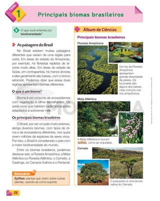 Reproduçãoproibida.Art.184doCódigoPenaleLei9.610de19defevereirode1998.
26
Álbum de Ciências
Principais biomas brasileiros1
As paisagens do Brasil
No Brasil existem muitas paisagens
diferentes que variam de uma região para
outra. Em áreas do estado do Amazonas,
por exemplo, há florestas repletas de ár-
vores muito altas. Em áreas do estado de
Goiás, em contrapartida, há menos árvores
e elas geralmente são baixas, com o tronco
retorcido. Podemos dizer que essas duas
regiões apresentam biomas diferentes.
O que é um bioma?
Bioma é um conjunto de ecossistemas
com vegetação e clima semelhantes. Os
seres vivos que habitam cada bioma estão
adaptados a sobreviver nele.
Os principais biomas brasileiros
O Brasil, por ser um país muito extenso,
abriga diversos biomas, com tipos de cli-
ma e de ecossistema diferentes, nos quais
vivem milhões de espécies de seres vivos.
Por isso, o Brasil é considerado o país com
a maior biodiversidade do mundo.
Entre os biomas brasileiros, podemos
destacar seis: a Floresta Amazônica, a Mata
Atlântica ou Floresta Atlântica, o Cerrado, a
Caatinga, os Campos Sulinos e o Pantanal.
Epífitas: plantas que vivem sobre outras
plantas, usando-as como suporte.
Glossário
Principais biomas brasileiros
Floresta Amazônica
Mata Atlântica
Cerrado
Os rios da Floresta
Amazônica
apresentam
grande diversidade
de peixes. Os
tucunarés são
alguns dos peixes
mais comuns nos
rios amazônicos.
A Mata Atlântica é rica em
epífitas, como as orquídeas.
O pequizeiro é uma árvore
nativa do Cerrado.
O que você entende por
biodiversidade?
PDF_022-039-U2-BUCIE5-M.indd 26 11/1/13 5:45 PM
 