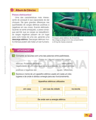 Reproduçãoproibida.Art.184doCódigoPenaleLei9.610de19defevereirode1998.
75
Álbum de Ciências
ATIVIDADES
Peixes eletrizantes!
Uma das características mais interes-
sante do poraquê é sua capacidade de dar
choques. Ele gera grandes diferenças nas
quantidades de cargas elétricas positivas e
negativas em seu corpo, ficando eletrizado.
Quando se sente ameaçado, o peixe conse-
gue permitir que as cargas se reequilibrem;
as cargas negativas passam de um lugar
para outro todas de uma vez, gerando uma
descarga elétrica. Descargas elétricas mui-
to intensas podem até matar um ser humano.
1 Complete as lacunas com uma das palavras entre parênteses.
(Todos os / Alguns) corpos têm cargas
elétricas. Podemos perceber a (eletricidade /
negatividade) de um corpo quando as quantidades de cargas elétricas
positivas e negativas são (iguais / diferentes).
2 Escreva o nome de um aparelho elétrico usado em cada um dos
lugares e de onde é obtida a energia para seu funcionamento.
Aparelhos elétricos utilizados
em casa em ruas da cidade na escola
De onde vem a energia elétrica
Poraquê, peixe elétrico da Amazônia.
Ele chega a atingir 2,5 m de comprimento
e 20 kg de massa corporal.
PDF_070-087-U5-BUCIE5-M.indd 75 10/30/13 1:28 PM
 
