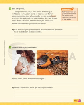 Reprodução
proibida.
Art.
184
do
Código
Penal
e
Lei
9.610
de
19
de
fevereiro
de
1998.
113
6 Leia e responda.
Na época reprodutiva, a ostra fêmea libera na água
milhões de óvulos, assim como os machos, que liberam
espermatozoides. Após a fecundação, formam-se as larvas,
que ﬁcam ﬂutuando e não recebem cuidado dos pais. Apenas
cerca de 1% das larvas sobrevive e chega à fase adulta.
a) Que tipo de fecundação ocorre nas ostras?
b) Cite uma vantagem, para as ostras, de produzir muitas larvas sem
haver cuidado com os descendentes.
7 Observe as imagens e responda.
a) O que está sendo mostrado nas imagens?
b) Qual é a importância desse tipo de comportamento?
Larvas: animais que
já passaram da fase
de embrião mas
ainda não atingiram
a fase adulta.
Glossário
PDF_100-113-U7-BUCIE5-M.indd 113 10/30/13 3:24 PM
 