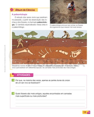 Reprodução
proibida.
Art.
184
do
Código
Penal
e
Lei
9.610
de
19
de
fevereiro
de
1998.
13
Álbum de Ciências
ATIVIDADES
A paleontologia
O estudo dos seres vivos que existiram
no passado, a partir da observação das ro-
chas e dos fósseis, é chamado paleontolo-
gia. O cientista especializado nessa área é
o paleontólogo.
O paleontólogo procura nas rochas os fósseis
de organismos que viveram há muito tempo.
Estudando rochas de diferentes camadas, os paleontólogos conseguem ter ideia dos seres
vivos que existiram em diferentes épocas. As camadas mais profundas são mais antigas.
1 Por que, na maioria das vezes, apenas as partes duras do corpo
de um ser vivo se fossilizam?
2 Quais fósseis são mais antigos, aqueles encontrados em camadas
mais superficiais ou mais profundas?
PDF_008-021-U1-BUCIE5-M.indd 13 11/4/13 11:45 AM
 