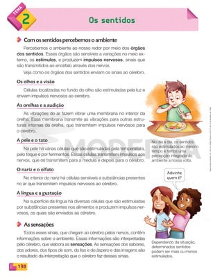 Reprodução
proibida.
Art.
184
do
Código
Penal
e
Lei
9.610
de
19
de
fevereiro
de
1998.
138
Os sentidos
2
Reprodução
proibida.
Art.
184
do
Código
Penal
e
Lei
9.610
de
19
de
fevereiro
de
1998.
Com os sentidos percebemos o ambiente
Percebemos o ambiente ao nosso redor por meio dos órgãos
dos sentidos. Esses órgãos são sensíveis a variações no meio ex-
terno, os estímulos, e produzem impulsos nervosos, sinais que
são transmitidos ao encéfalo através dos nervos.
Veja como os órgãos dos sentidos enviam os sinais ao cérebro.
Os olhos e a visão
Células localizadas no fundo do olho são estimuladas pela luz e
enviam impulsos nervosos ao cérebro.
As orelhas e a audição
As vibrações do ar fazem vibrar uma membrana no interior da
orelha. Essa membrana transmite as vibrações para outras estru-
turas internas da orelha, que transmitem impulsos nervosos para
o cérebro.
A pele e o tato
Na pele há várias células que são estimuladas pela temperatura,
pelo toque e por ferimentos. Essas células transmitem impulsos aos
nervos, que os transmitem para a medula e depois para o cérebro.
O nariz e o olfato
No interior do nariz há células sensíveis a substâncias presentes
no ar que transmitem impulsos nervosos ao cérebro.
A língua e a gustação
Na superfície da língua há diversas células que são estimuladas
por substâncias presentes nos alimentos e produzem impulsos ner-
vosos, os quais são enviados ao cérebro.
As sensações
Todos esses sinais, que chegam ao cérebro pelos nervos, contêm
informações sobre o ambiente. Essas informações são interpretadas
pelo cérebro, que elabora as sensações. As sensações dos sabores,
dos odores, dos tipos de som, do liso e do áspero e das imagens são
o resultado da interpretação que o cérebro faz desses sinais.
No dia a dia, os sentidos
são estimulados ao mesmo
tempo e temos uma
percepção integrada do
ambiente a nossa volta.
Dependendo da situação,
determinados sentidos
podem ser mais ou menos
estimulados.
Adivinhe
quem é?
PDF_132-145-U9-BUCIE5-M.indd 138 11/1/13 12:57 PM
 