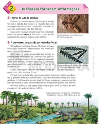 Reprodução
proibida.
Art.
184
do
Código
Penal
e
Lei
9.610
de
19
de
fevereiro
de
1998.
14
Os fósseis fornecem informações
2
14
14
14
Formas de vida do passado
Uma das primeiras informações que podemos ob-
ter com o estudo dos fósseis é a respeito dos seres
vivos que habitaram a Terra no passado, mas que não
são mais encontrados nos dias de hoje.
Esses seres vivos que desapareceram do planeta são
chamados de seres extintos. Somente por meio dos fós-
seis podemos conhecer os seres vivos extintos.
A descoberta do passado por meio dos fósseis
Camadas de rochas de épocas diferentes apresen-
tam fósseis diferentes. Alguns fósseis são muito anti-
gos e outros, mais recentes.
Com base na idade aproximada dos fósseis, os
paleontólogos conseguem ter uma ideia dos seres vi-
vos que existiram em cada época; quais eram animais,
quais eram plantas, se eram aquáticos ou terrestres,
que relações poderia haver entre eles, de que se ali-
mentavam etc.
Essas informações também fornecem pistas de
como era o clima em cada época.
Por exemplo, na Antártida, foram encontrados fósseis de plantas semelhan-
tes a grandes avencas e samambaias. Esse tipo de planta cresce em locais
úmidos e com temperaturas mais elevadas. Esses fósseis nos mostram que, há
milhões de anos, o clima na Antártida era bem mais quente que nos dias de hoje.
Por meio do estudo dos fósseis, hoje se sabe que o clima e o relevo da Terra
mudaram muito ao longo da sua história.
Fóssil de rã que viveu há cerca de
50 milhões de anos.
Fóssil de um tipo de avenca encontrada
na Antártida, datado de 250 a
200 milhões de anos.
Representação de como seria o ambiente na
Antártida há cerca de 280 milhões de anos.
PDF_008-021-U1-BUCIE5-M.indd 14 10/30/13 6:34 PM
 